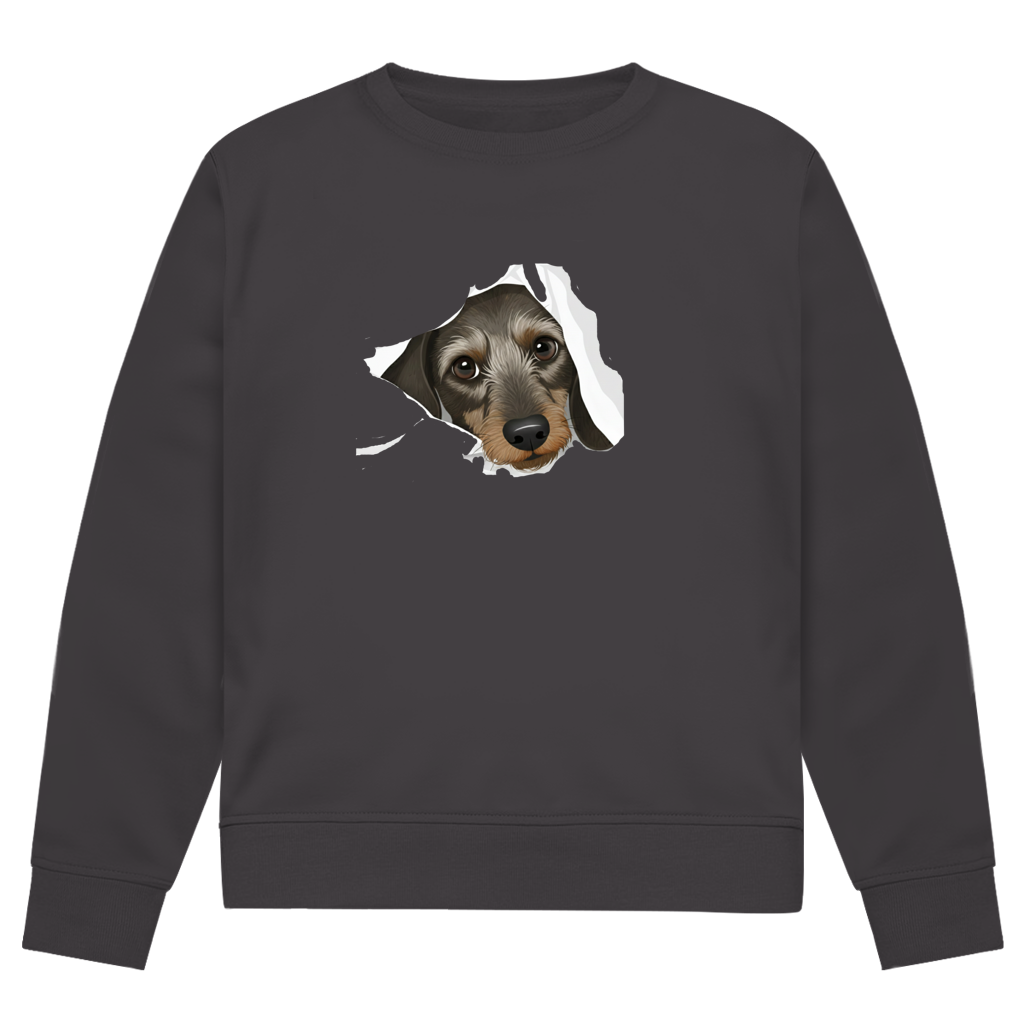 Sweatshirt mit Rauhaardackel Puppy super süß - Premium Bio Sweatshirt