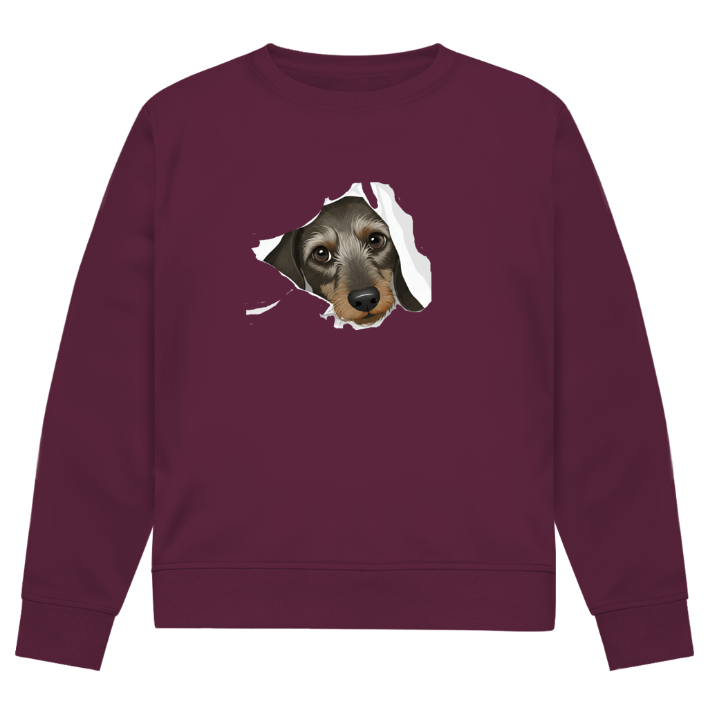 Sweatshirt mit Rauhaardackel Puppy super süß - Premium Bio Sweatshirt