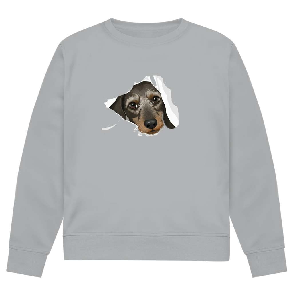 Sweatshirt mit Rauhaardackel Puppy super süß - Premium Bio Sweatshirt