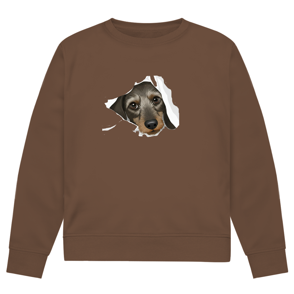Sweatshirt mit Rauhaardackel Puppy super süß - Premium Bio Sweatshirt