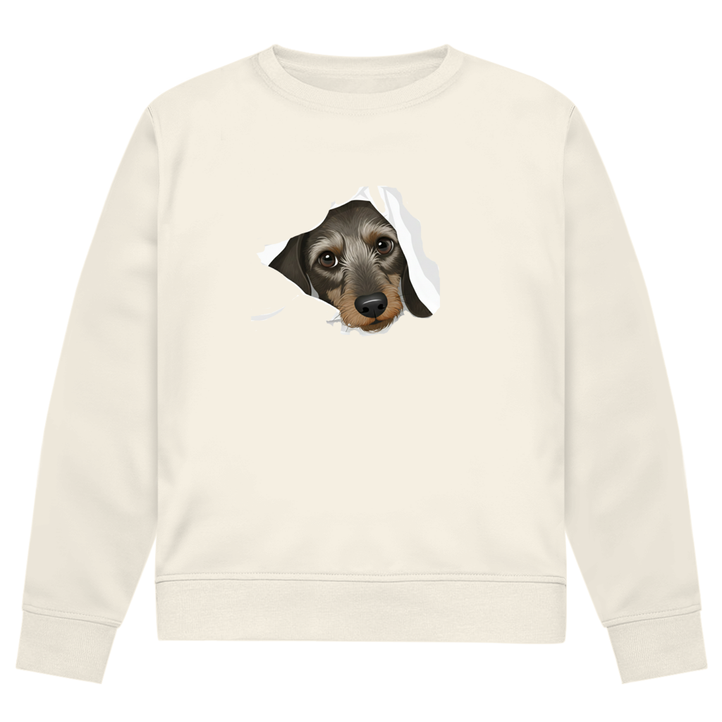 Sweatshirt mit Rauhaardackel Puppy super süß - Premium Bio Sweatshirt