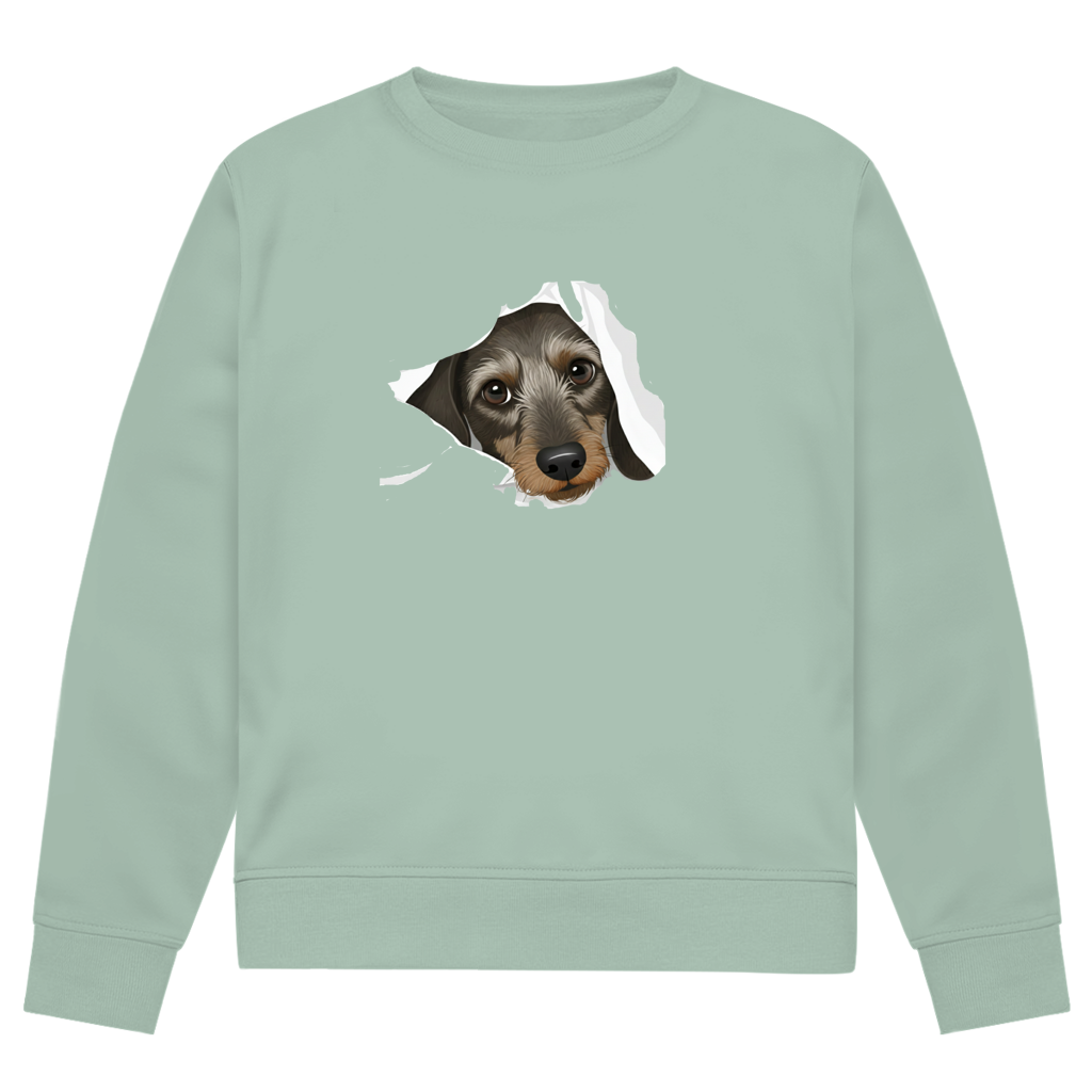 Sweatshirt mit Rauhaardackel Puppy super süß - Premium Bio Sweatshirt
