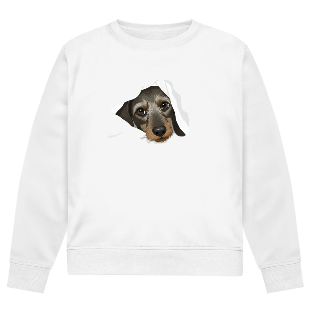 Sweatshirt mit Rauhaardackel Puppy super süß - Premium Bio Sweatshirt