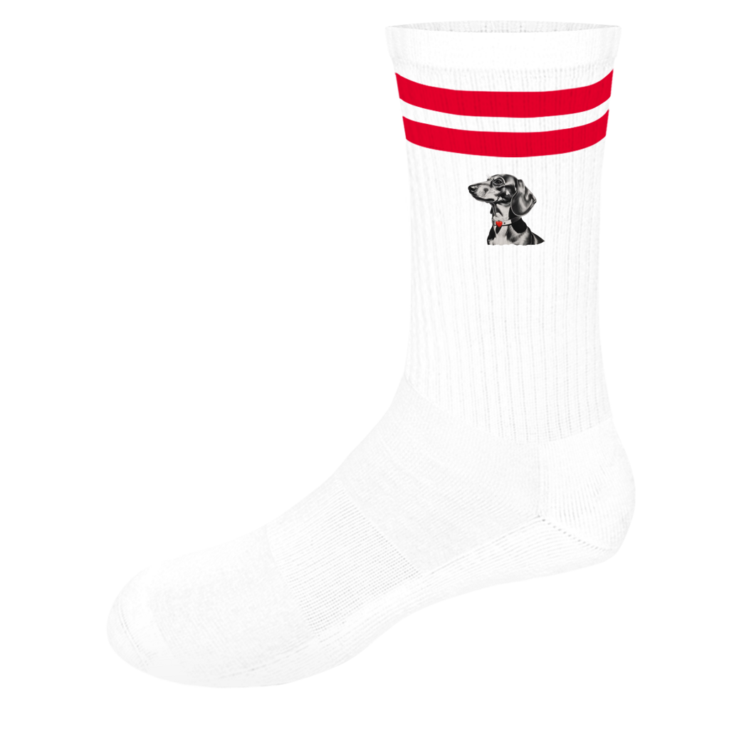 Socken mit Streifen Dackel Schwarz weiss Kohlezeichnung