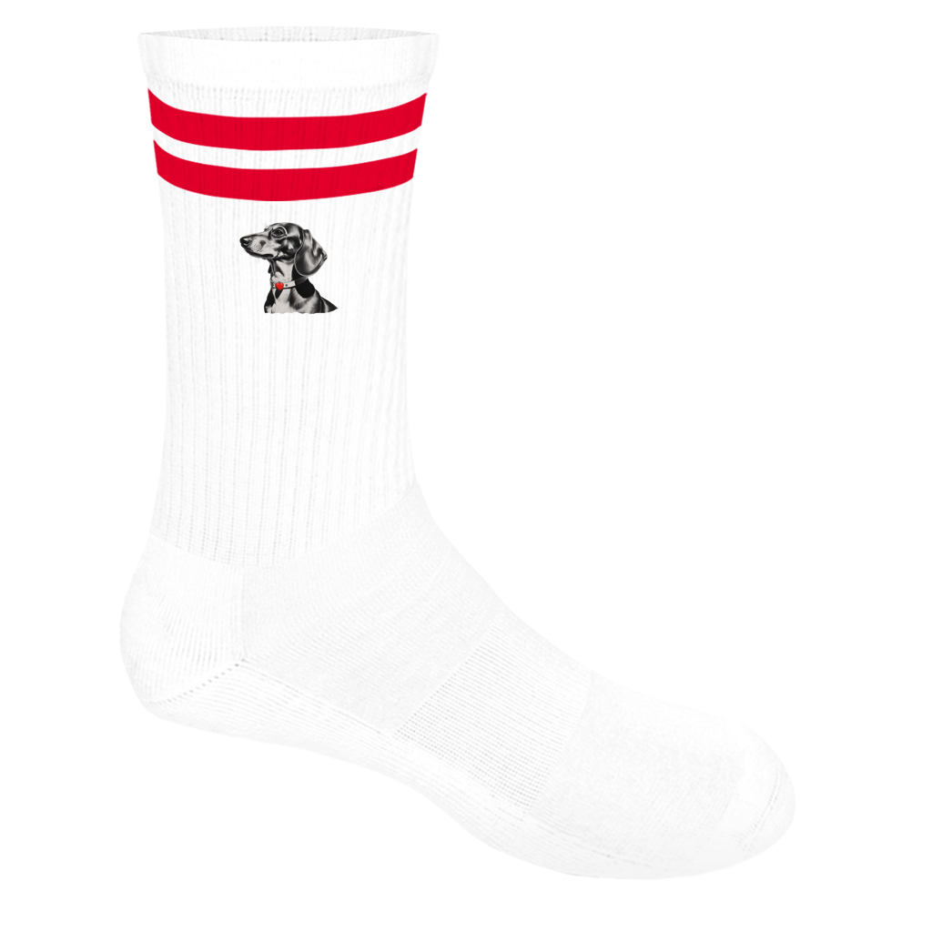 Socken mit Streifen Dackel Schwarz weiss Kohlezeichnung