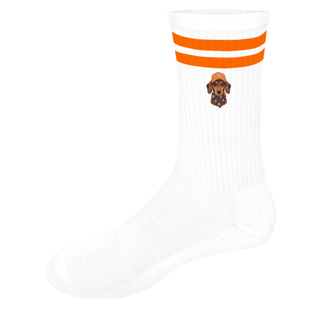 Socken mit Streifen Fashion Ambassador Motiv Tiger Dackel mit Vintage Cap