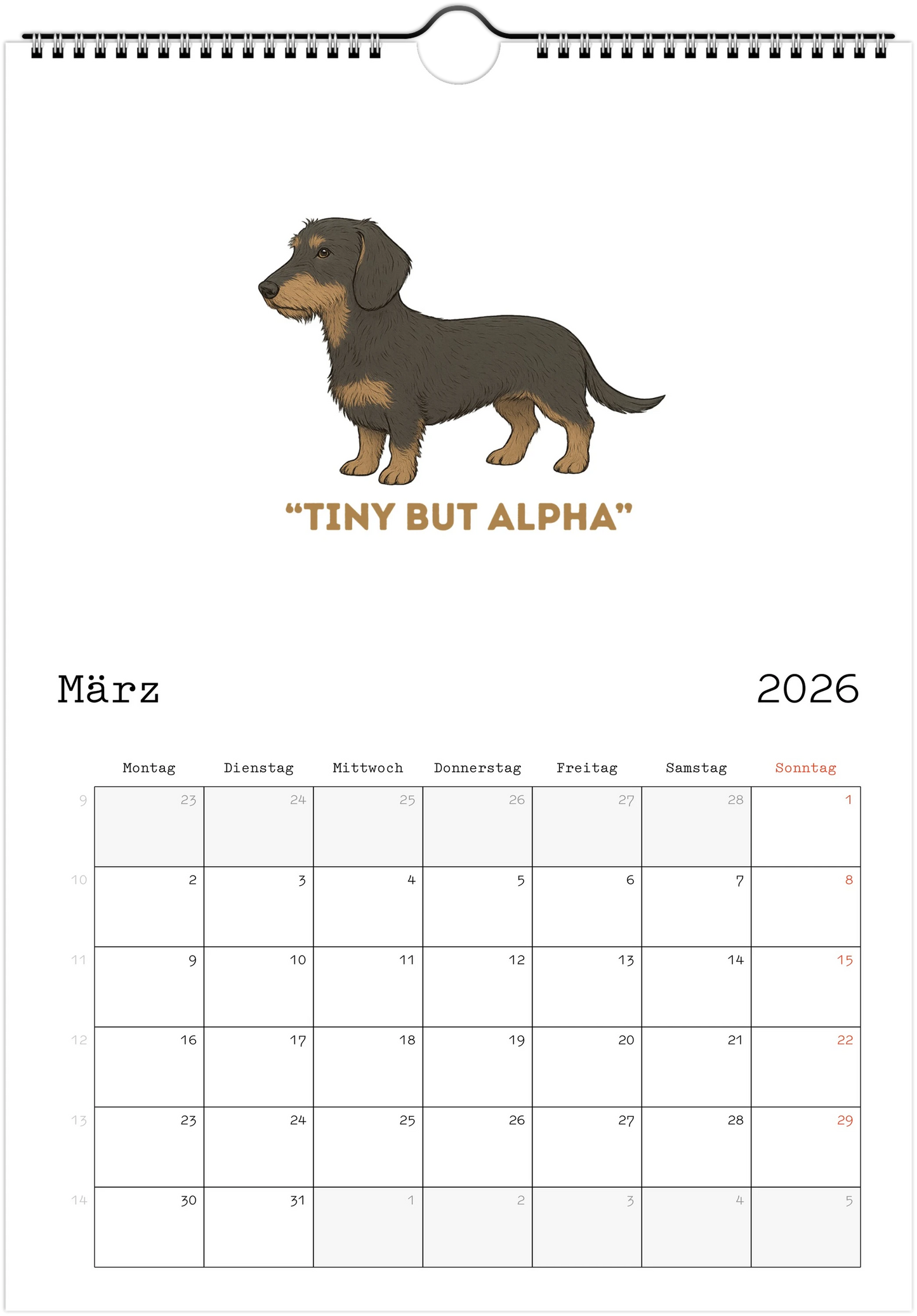Wandkalender "Dackelmomente"2026 – Geschenkidee für Dackel Liebhaber und Hundefreunde